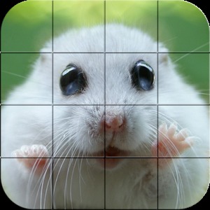 Puzzle - Cute Hamsters