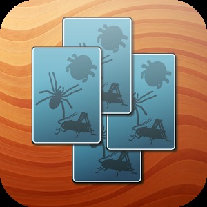 Invertebrate Bug Memory Game