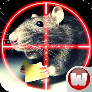 Find And Kill Rat