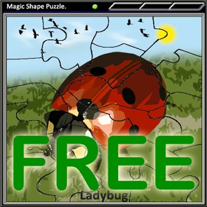 Magic Shape Puzzle Free