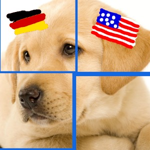 German & Puzzles: Animals