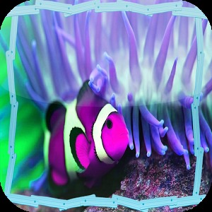 Clownfish Jigsaw Puzzle