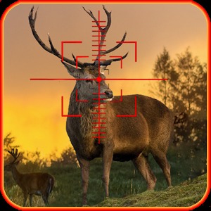 Deer Hunting Quest