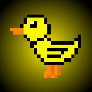 Duck Hero