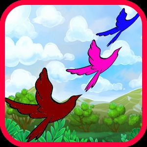 Bird Games Free