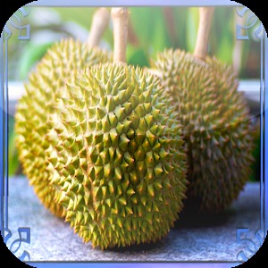 Durian Jigsaw Puzzles