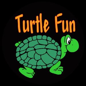 Turtle Fun