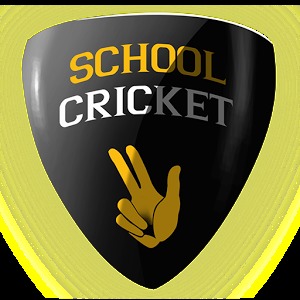 School Cricket