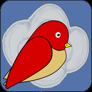 Cloudy Bird