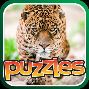 Jungle Cat Free Puzzles