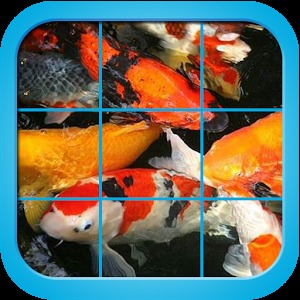 Fancy Koi Fish Puzzle Game