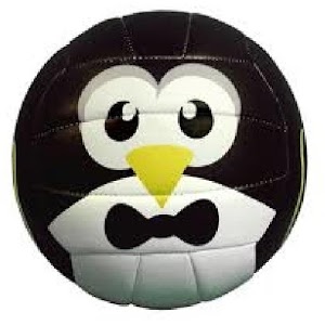 Penguin Ball