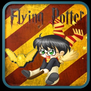 Flying Broom of Harry Potter