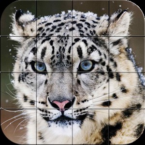 Puzzle - Wild animals