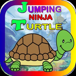 Jumping Ninja turtle