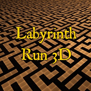 Labyrinth Run 3D