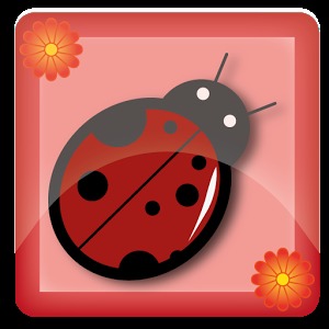 Bad luck ladybug