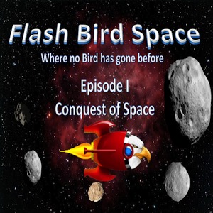 Flash Bird Space