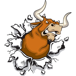 Angry Bull Run