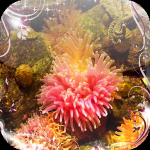 Sea anemone Jigsaw Puzzles