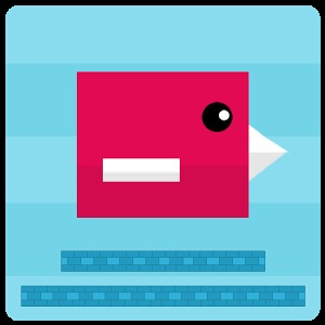 Mr Flap Jump