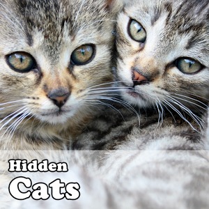 Hidden Object Games - Cats