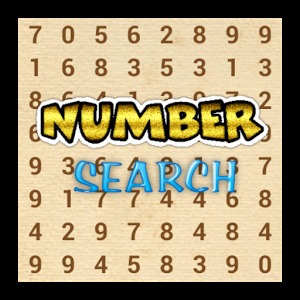 Number Search Challenge