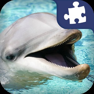 Dolphin Puzzles