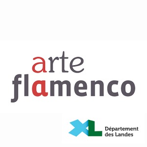 Festival Arte Flamenco