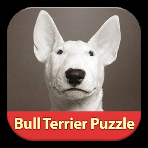 Bull Terrier: Find Differences