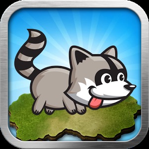 Raccoon running