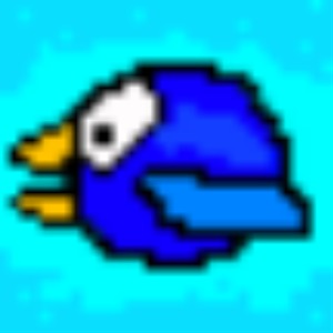 Hard Bird