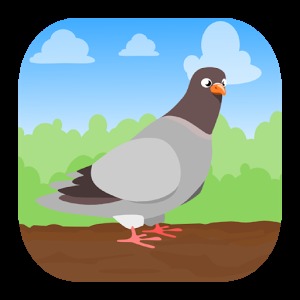 Pigeon Odyssey