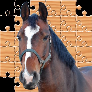 Puzzle Horses