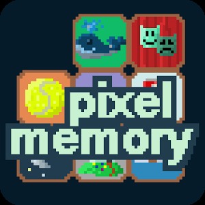 Pixel Memory