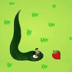 snake maze