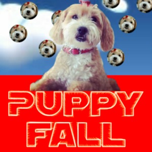 Puppy Fall