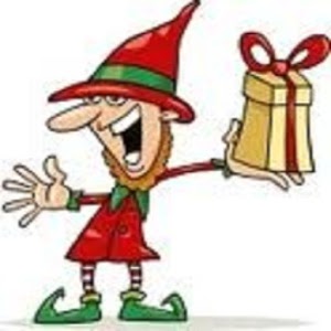 Christmas Elf Adventure