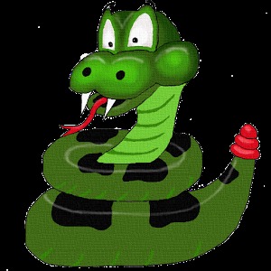 SensorSnake