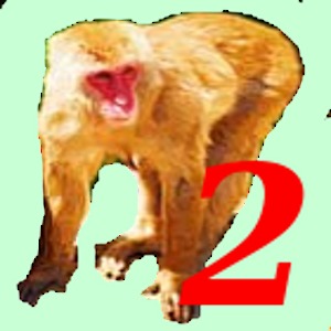 Monkey Hunt2