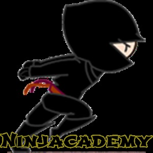 Ninjacademy