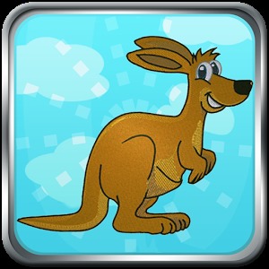 Flying Kangaroo