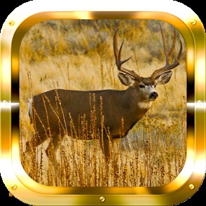 Deer Adventure HD