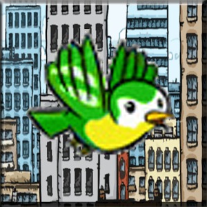 city bird
