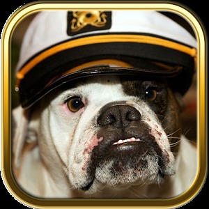 Free Bulldog Puzzle Games