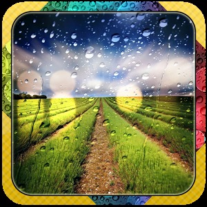 3D Rainfall Jigsaw Puzzles