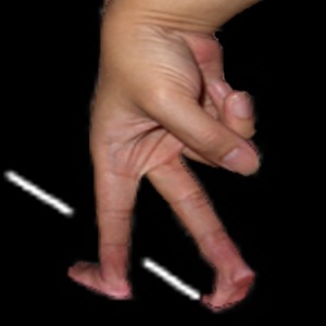 Finger Trainer