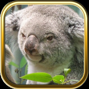 Free Australia Puzzle Games