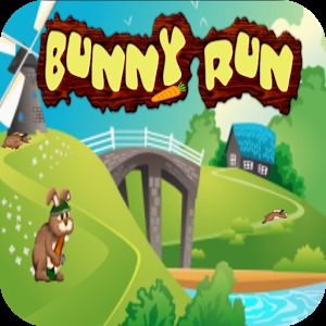 Bunny Run 2D
