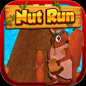 Nut Run